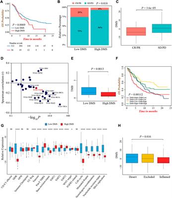 DNA methylation regulator-mediated modification pattern defines tumor microenvironment immune infiltration landscape in colon cancer